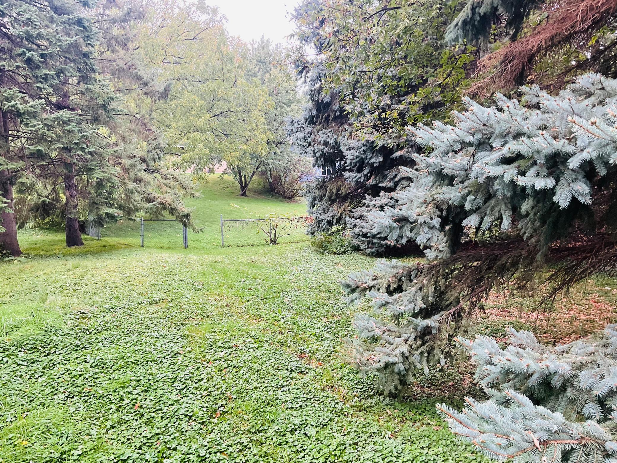 3621 Edward Street NE