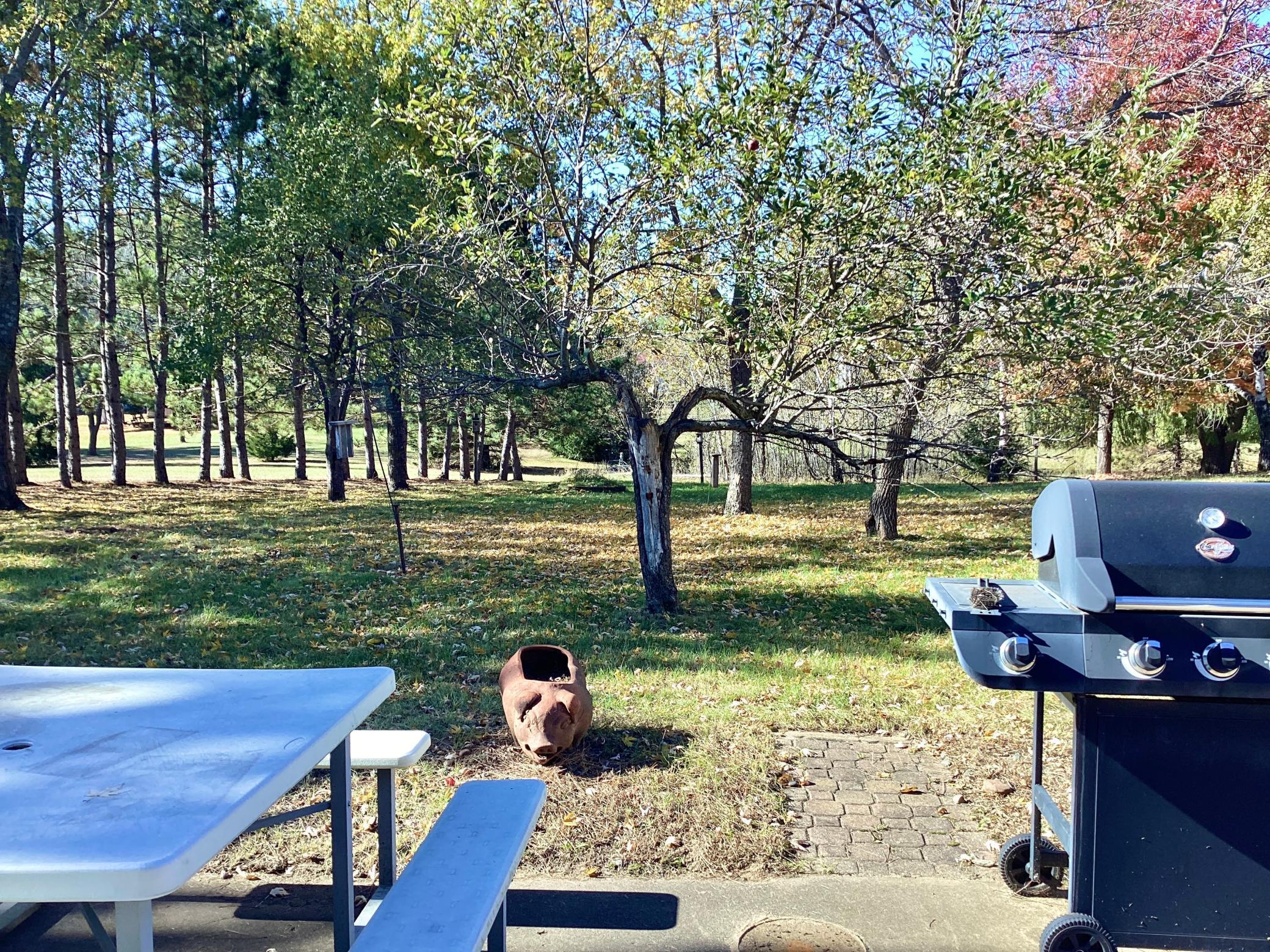 19158 Kent Street NW