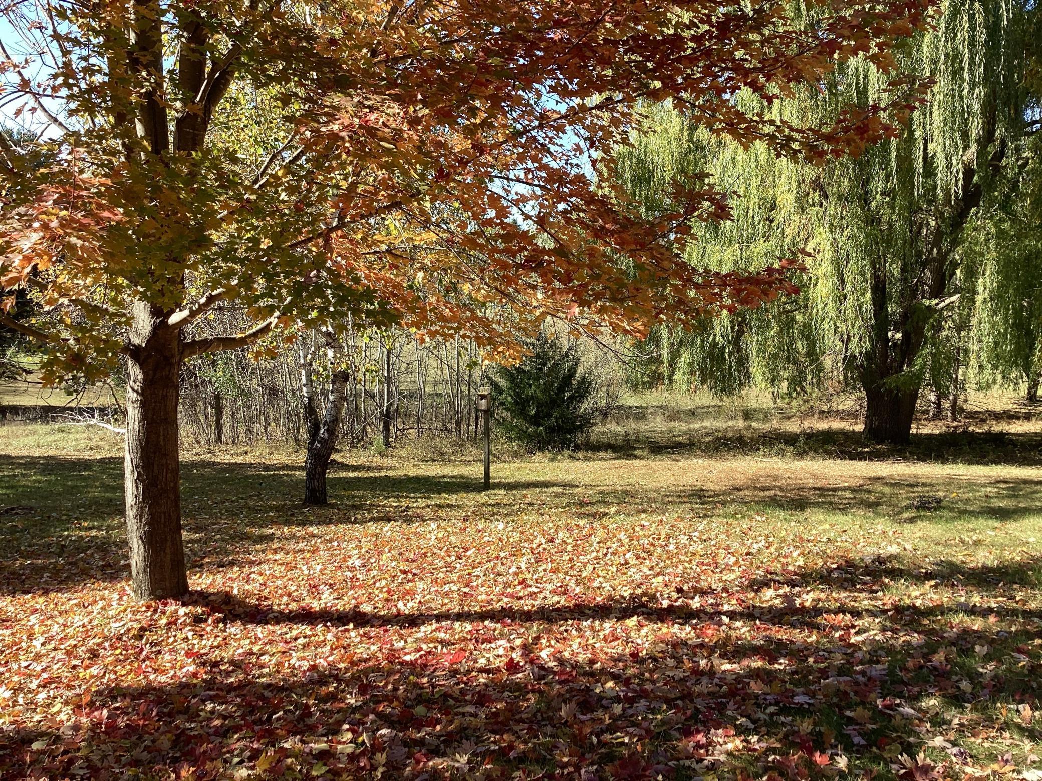 19158 Kent Street NW