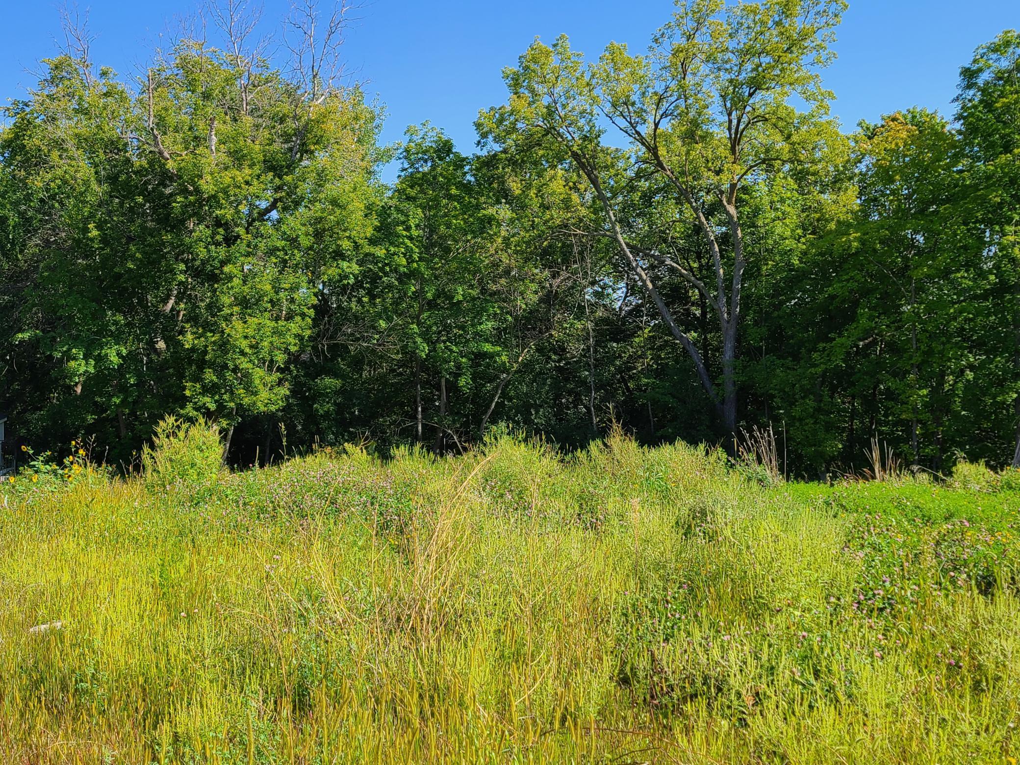 1050 Old Long Lake Road