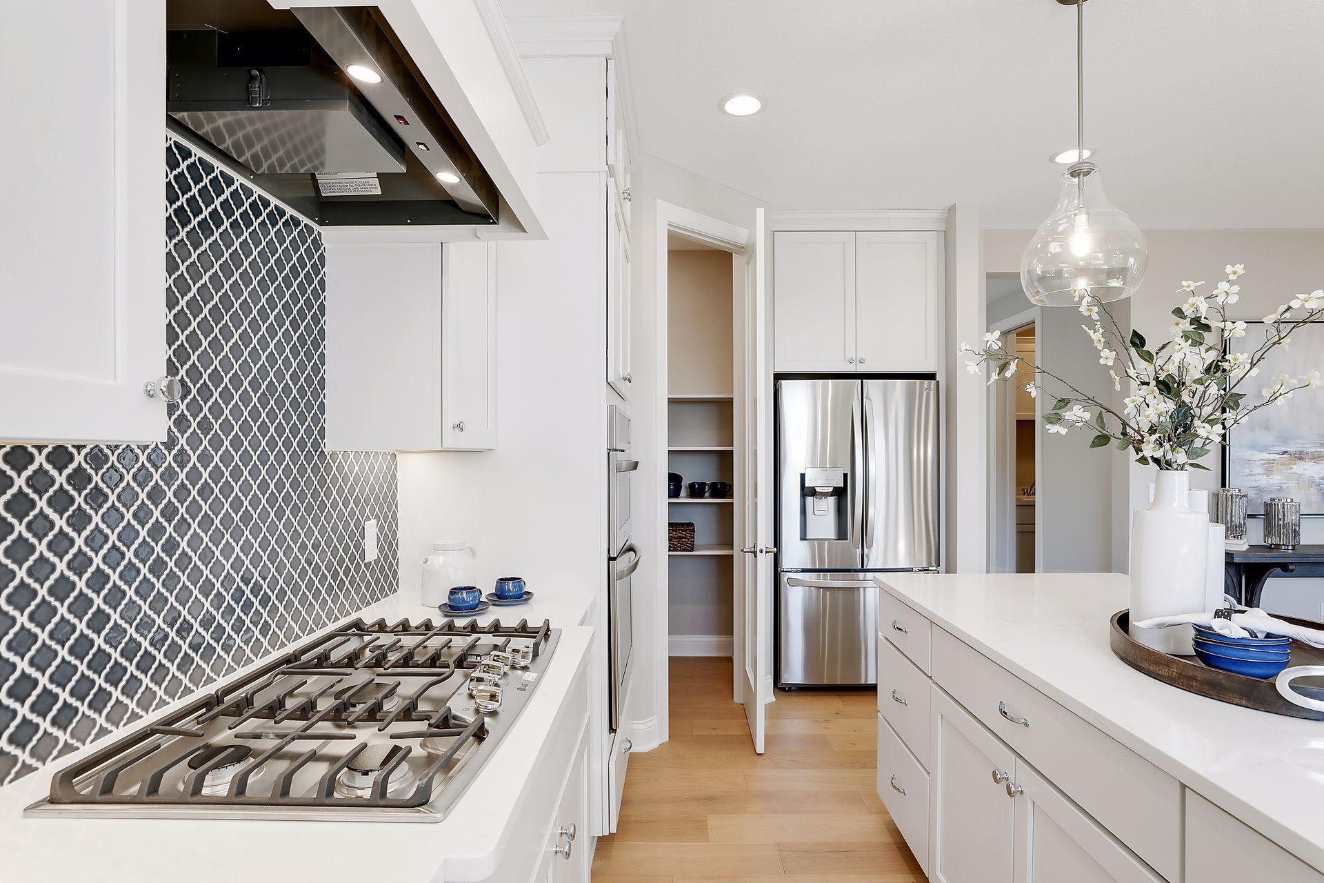 4641 Wolfberry Curve