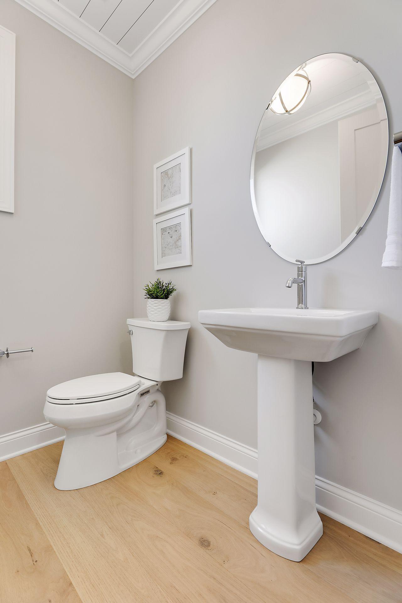 4641 Wolfberry Curve