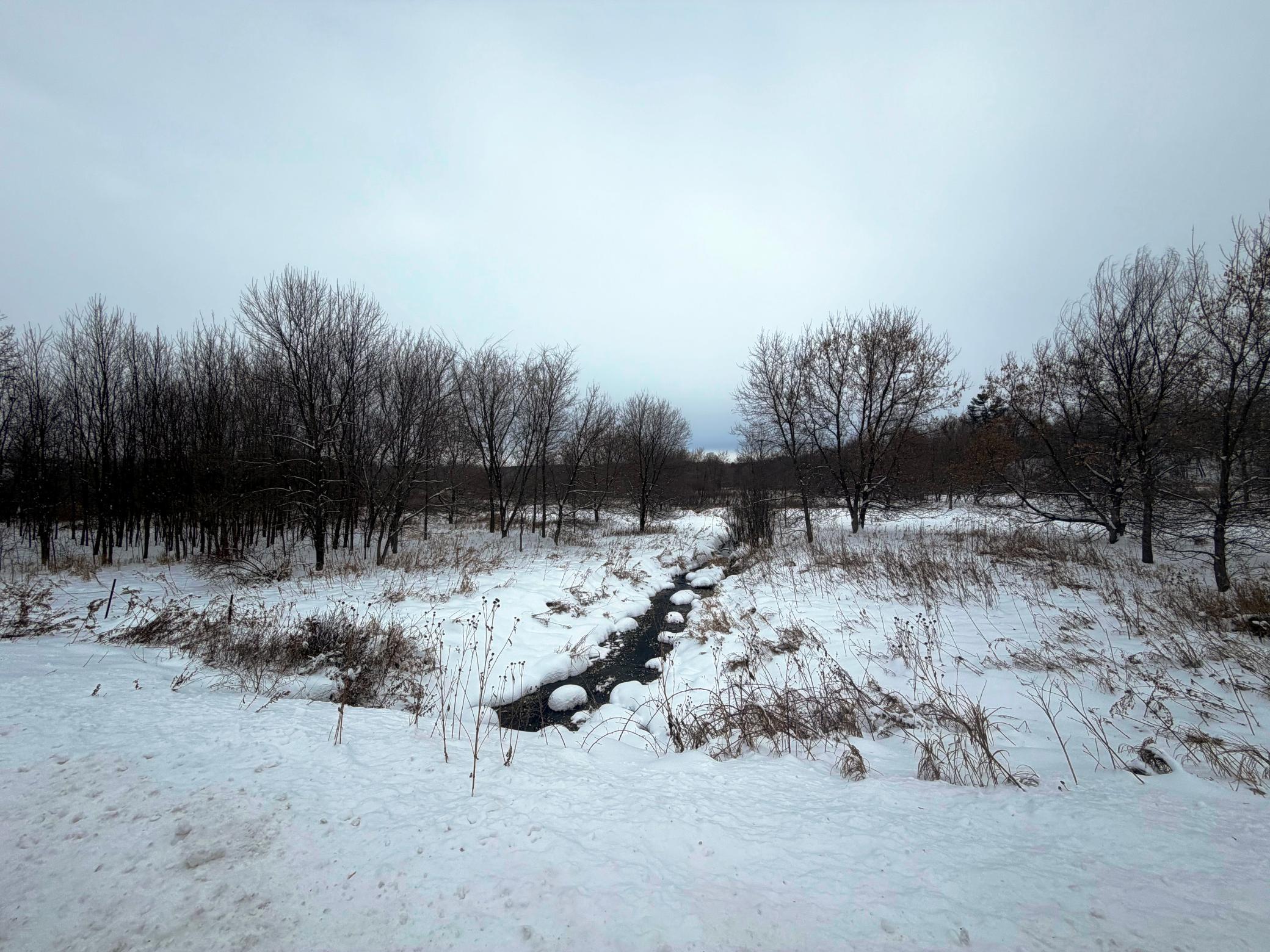 TBD Lands along 160th Ave & 315th St