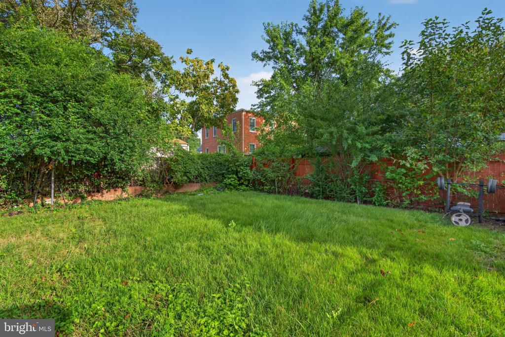 Grassy backyard bordered by dense greenery and a red fence, with a barbecue grill at the edge.