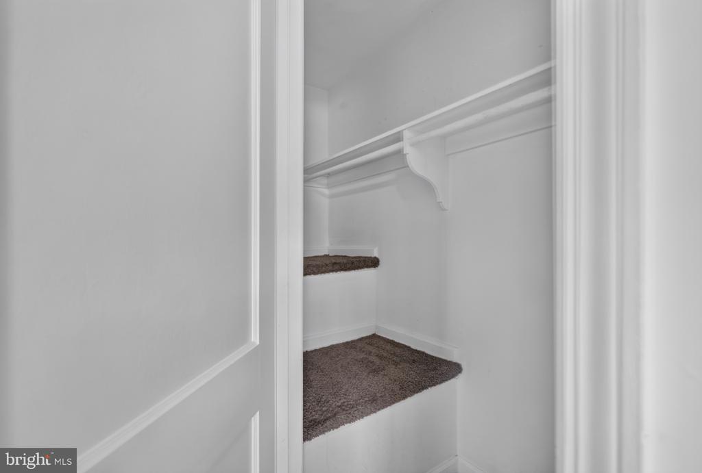 Empty white closet with a carpeted floor and built-in shelf, viewed through an open door.