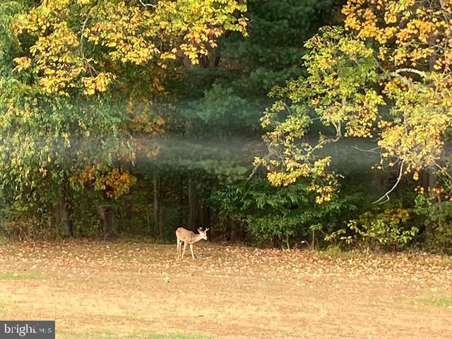 4710 GOLD FINCH DRIVE