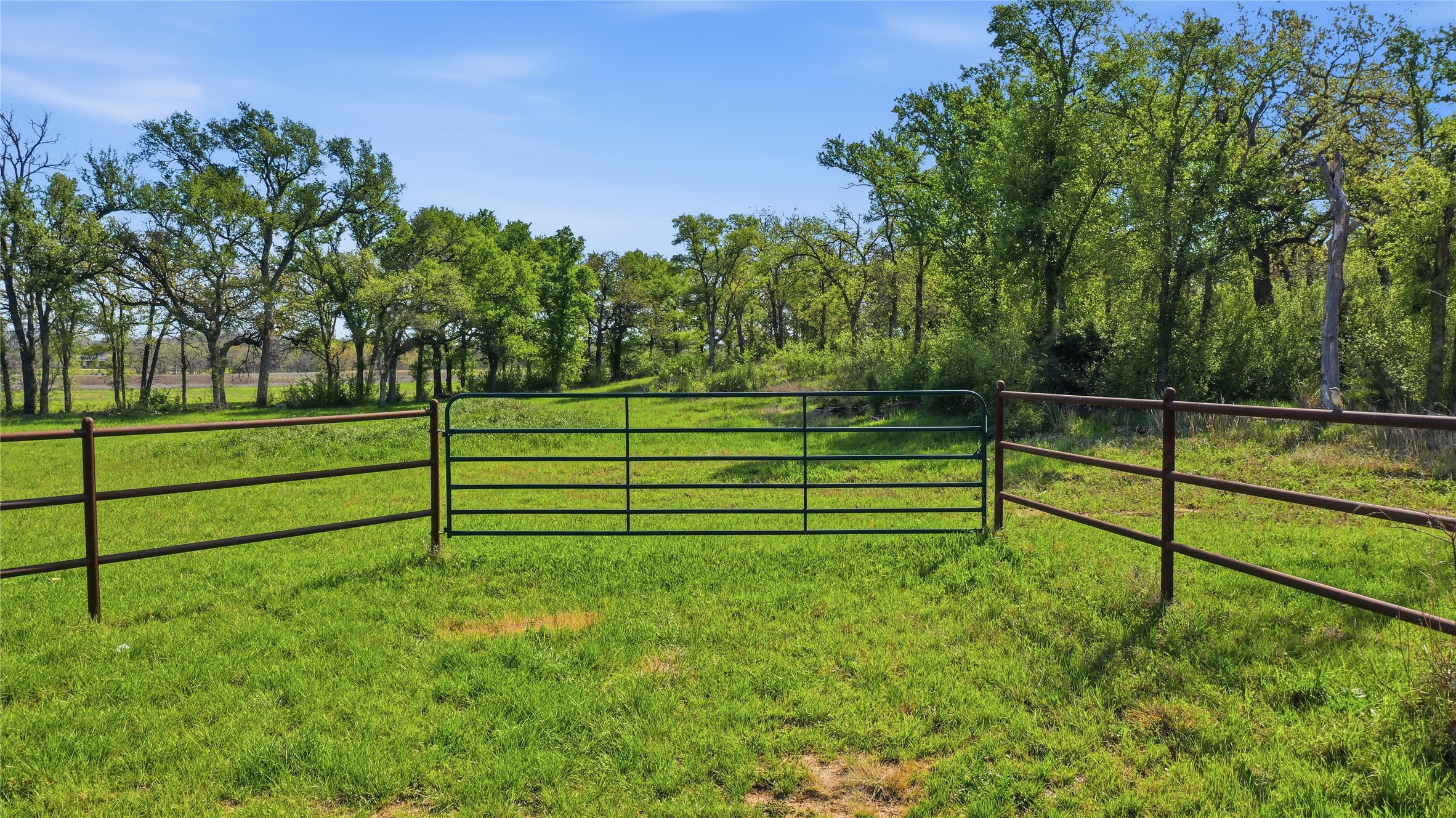 1005 Carter Road