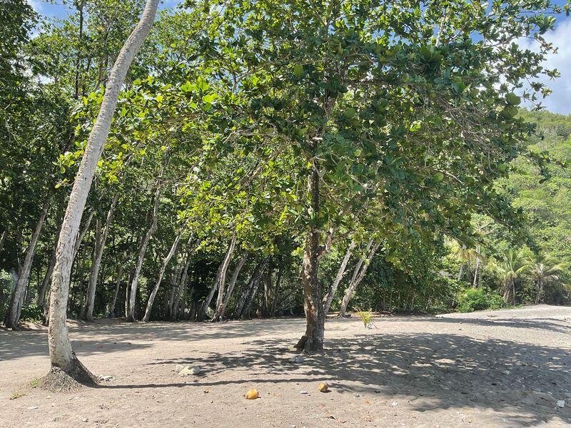 Anse Galet Estate Beachfront Land