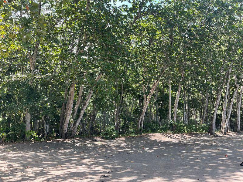 Anse Galet Estate Beachfront Land