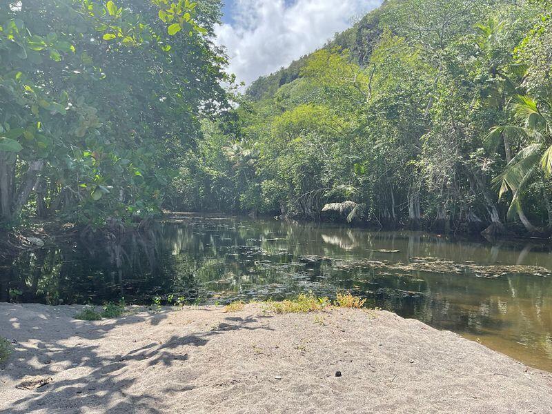 Anse Galet Estate Beachfront Land