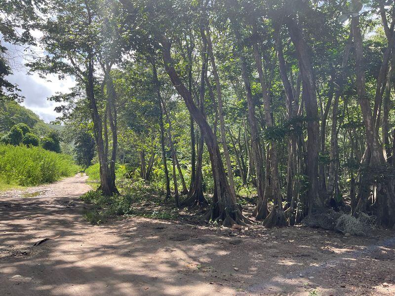 Anse Galet Estate Beachfront Land