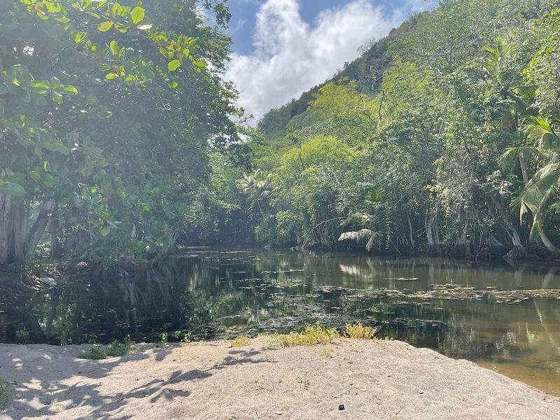 Anse Galet Estate Beachfront Land