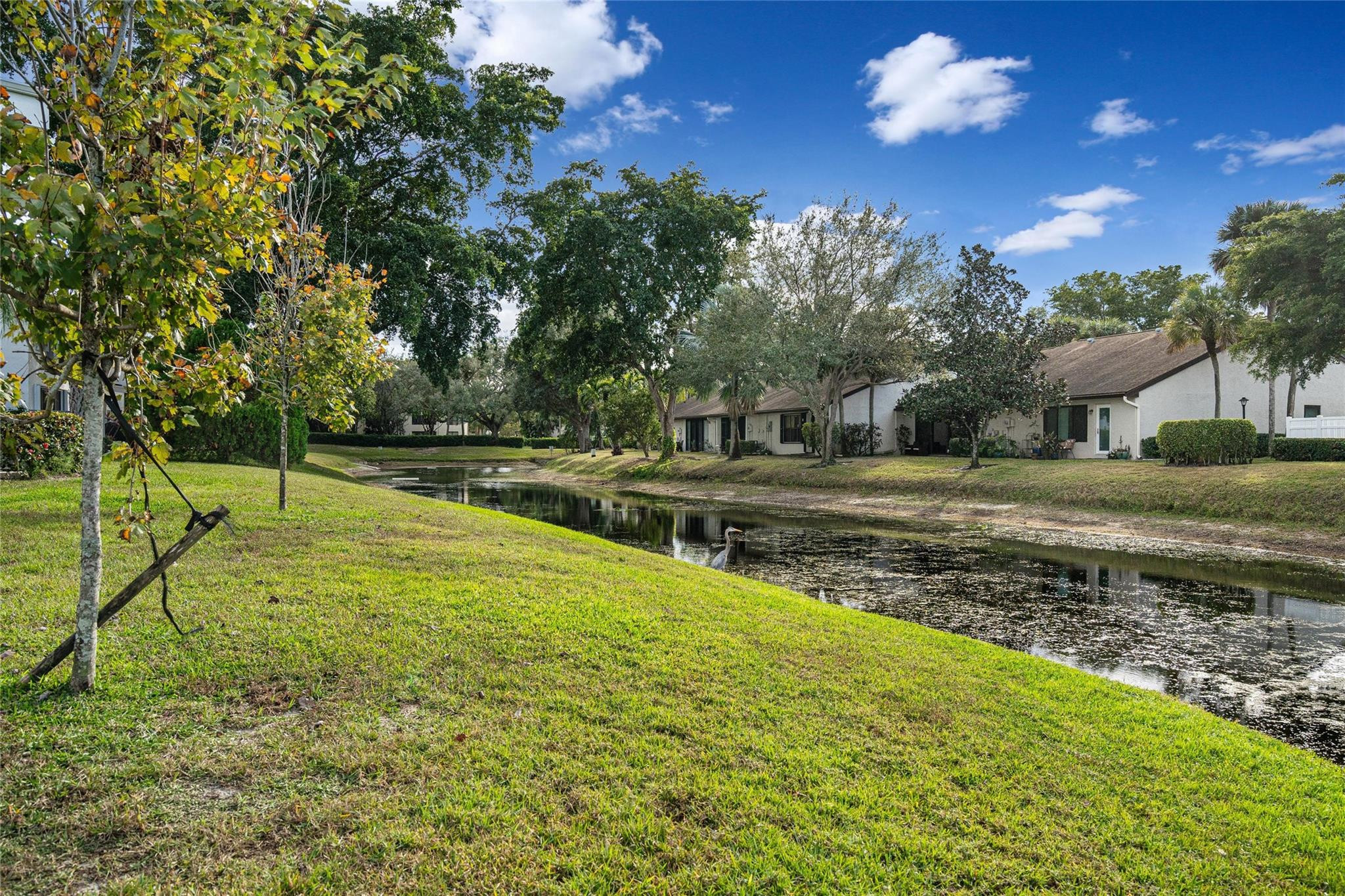4425 Carambola Cir 2620