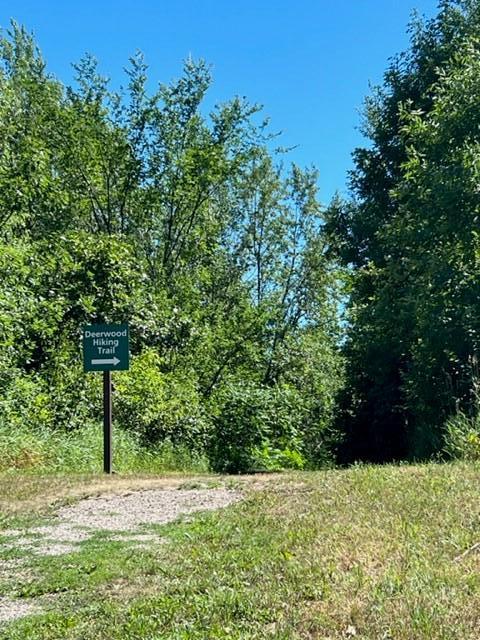 511 Greywood Boulevard SW