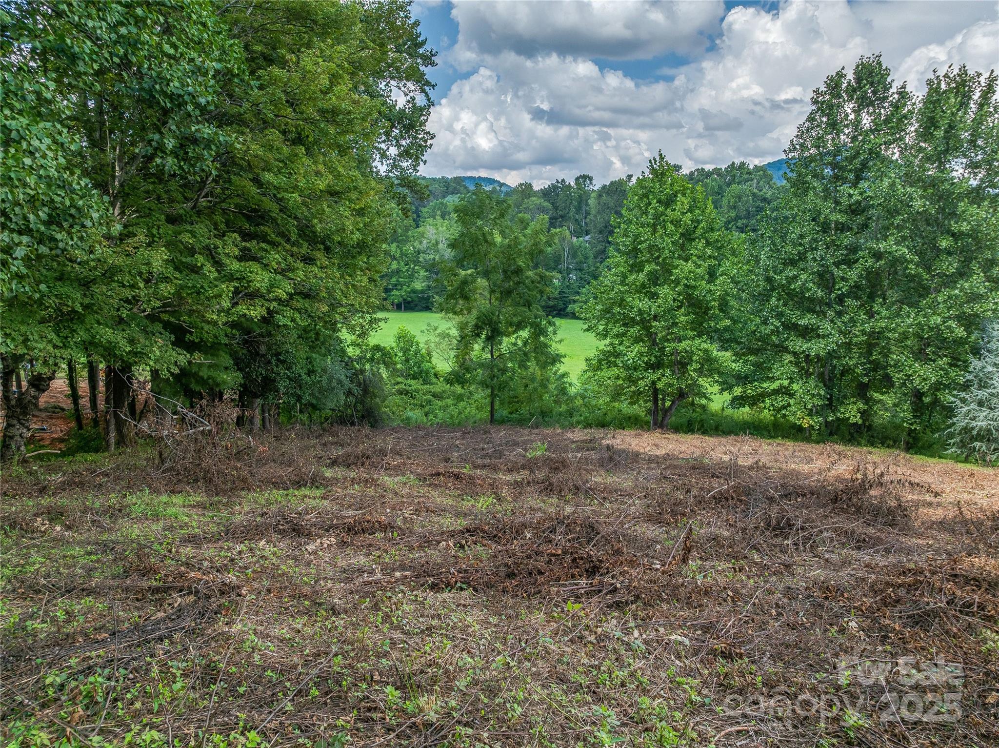 37 Bear Flower Trail Unit: 35B