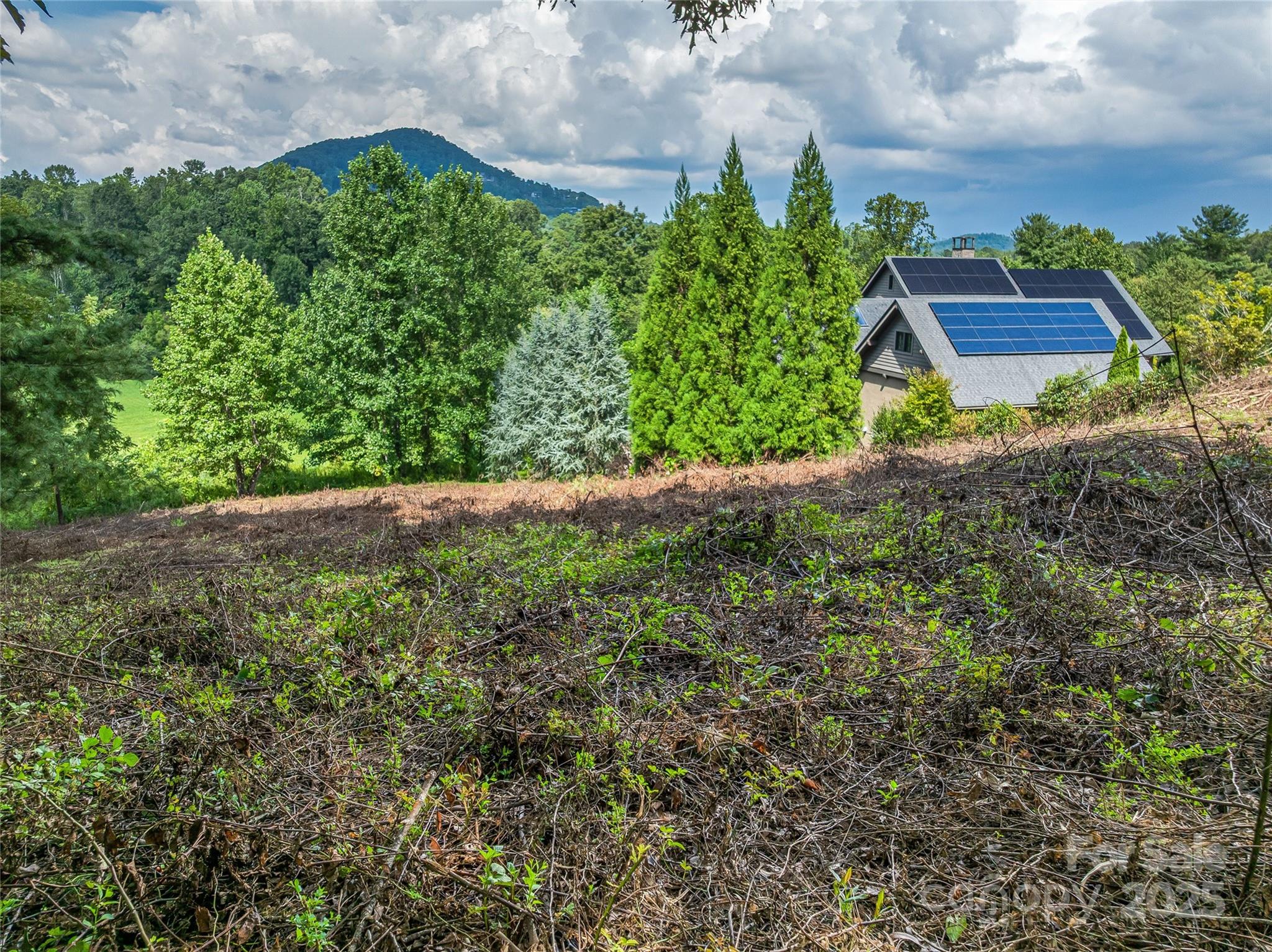 37 Bear Flower Trail Unit: 35B