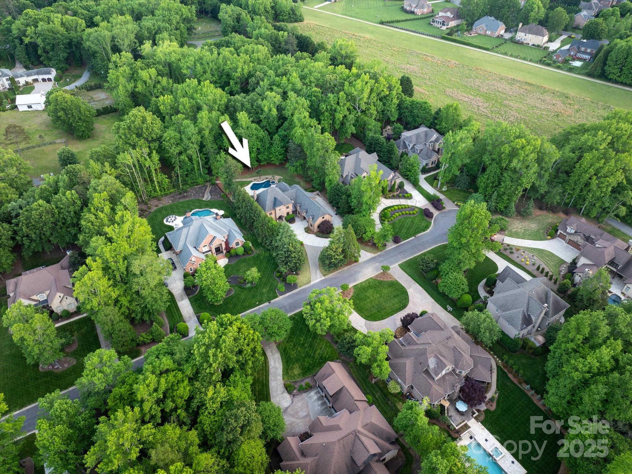 1504 Alydar Court