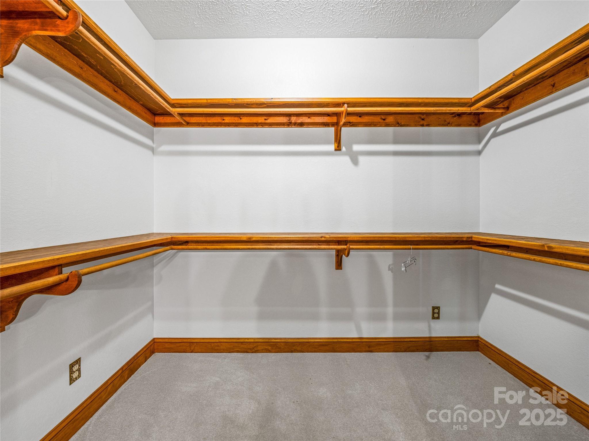 514 Lab Mountain Trail