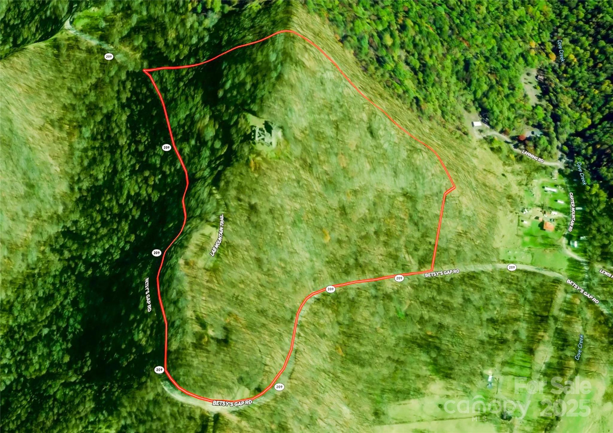 514 Lab Mountain Trail
