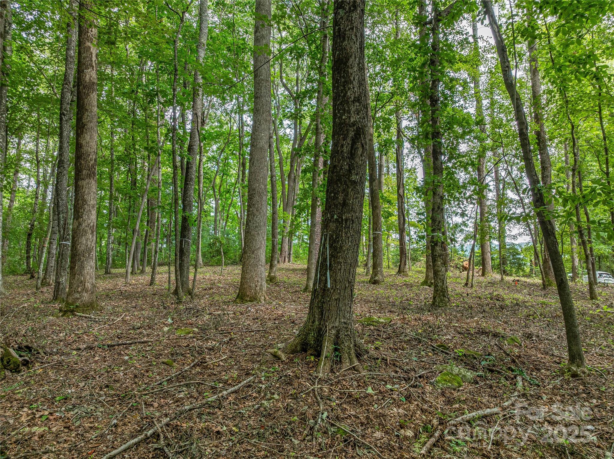 644 Walnut Valley Parkway