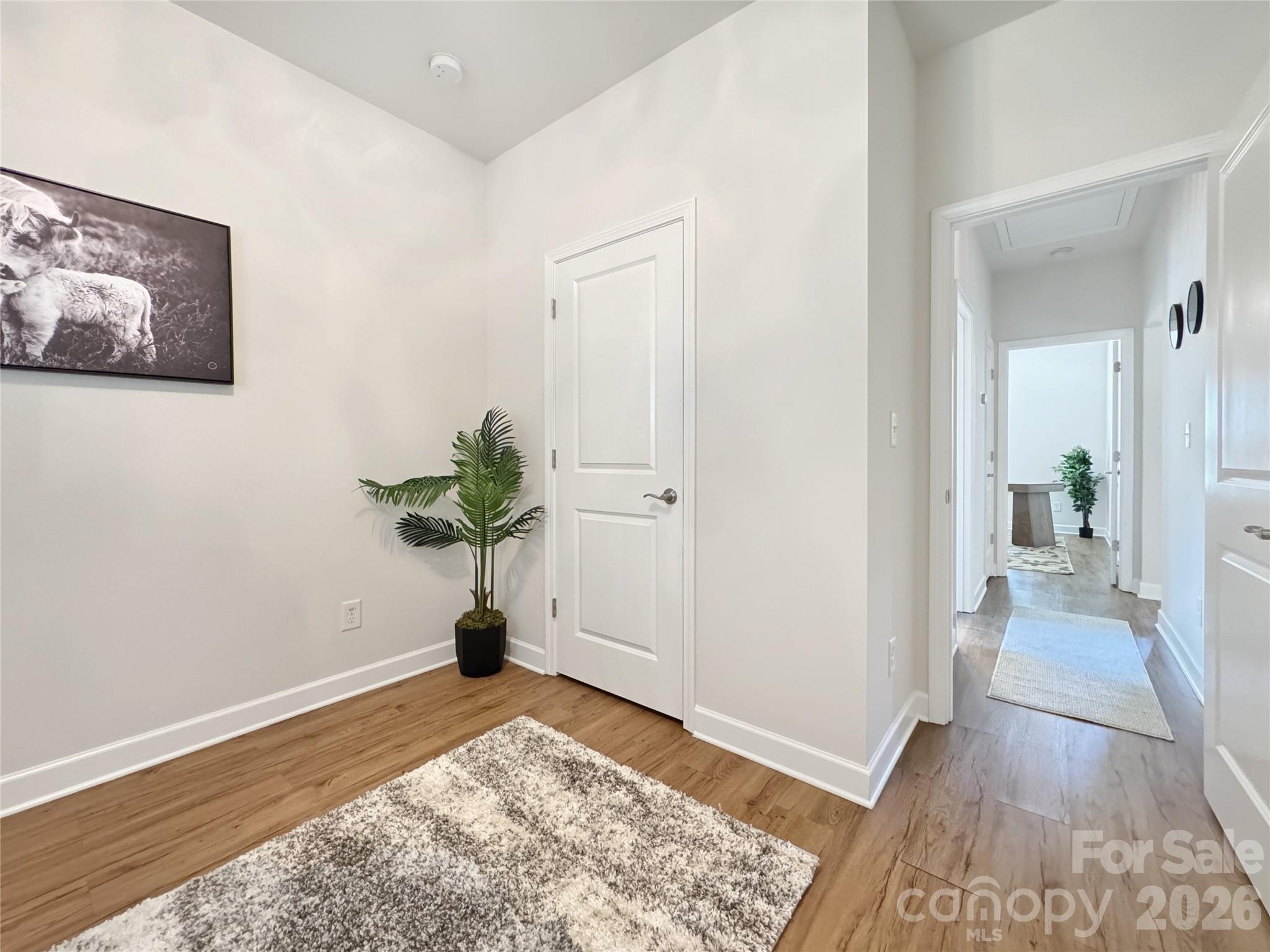 404 Skipwith Place