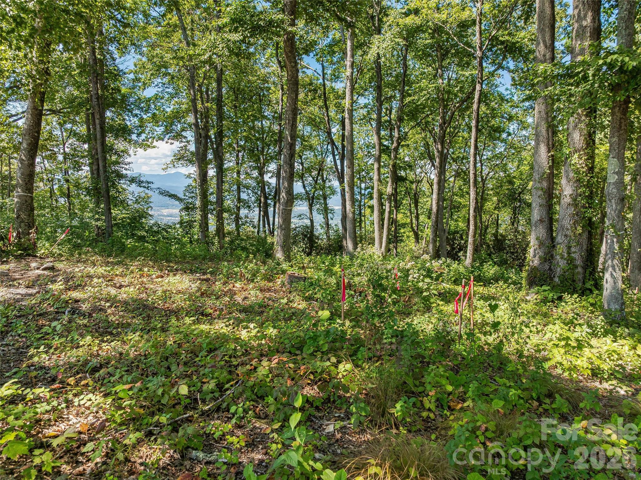 Lot 42 Haven View Trail