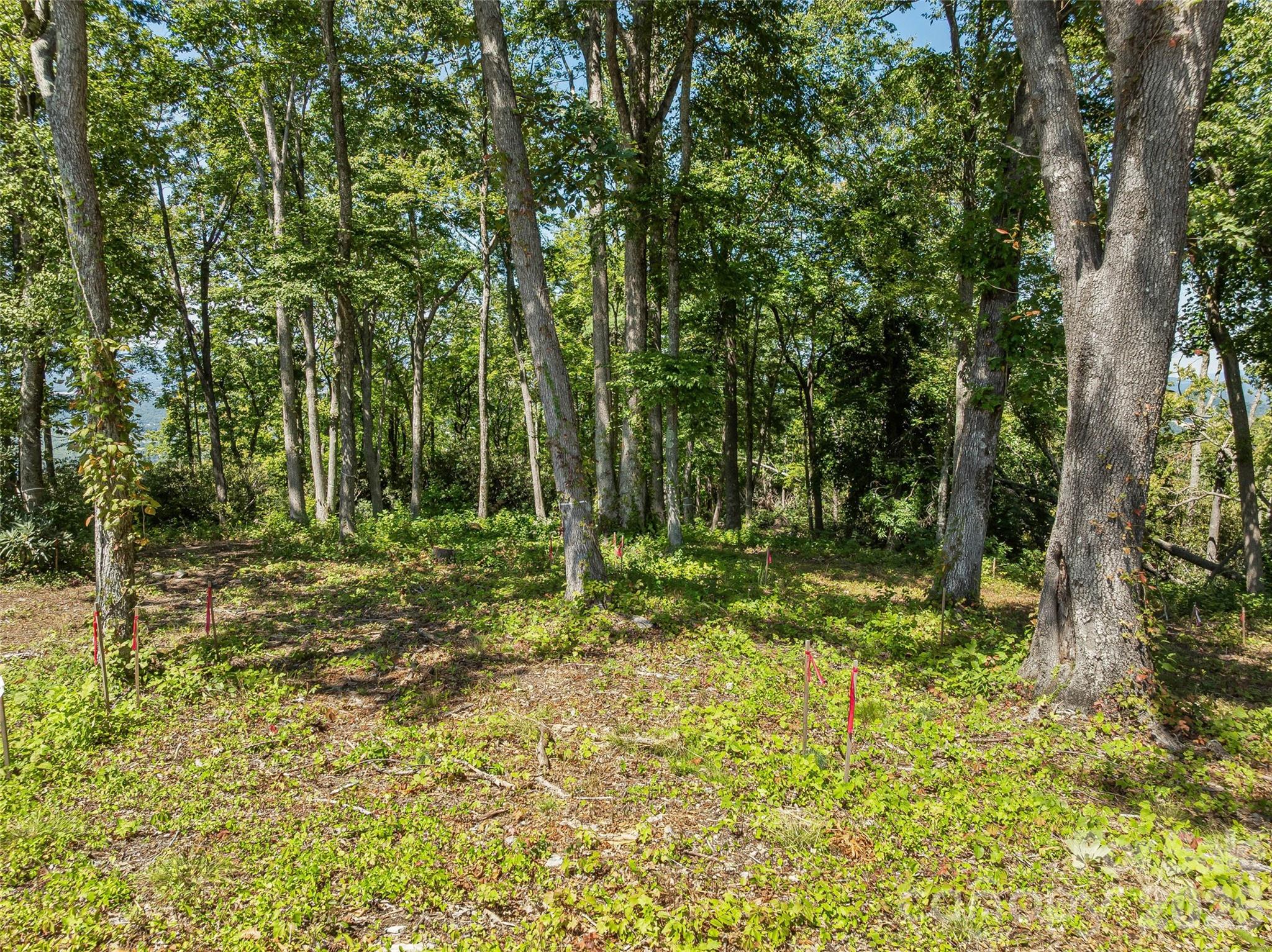 Lot 42 Haven View Trail