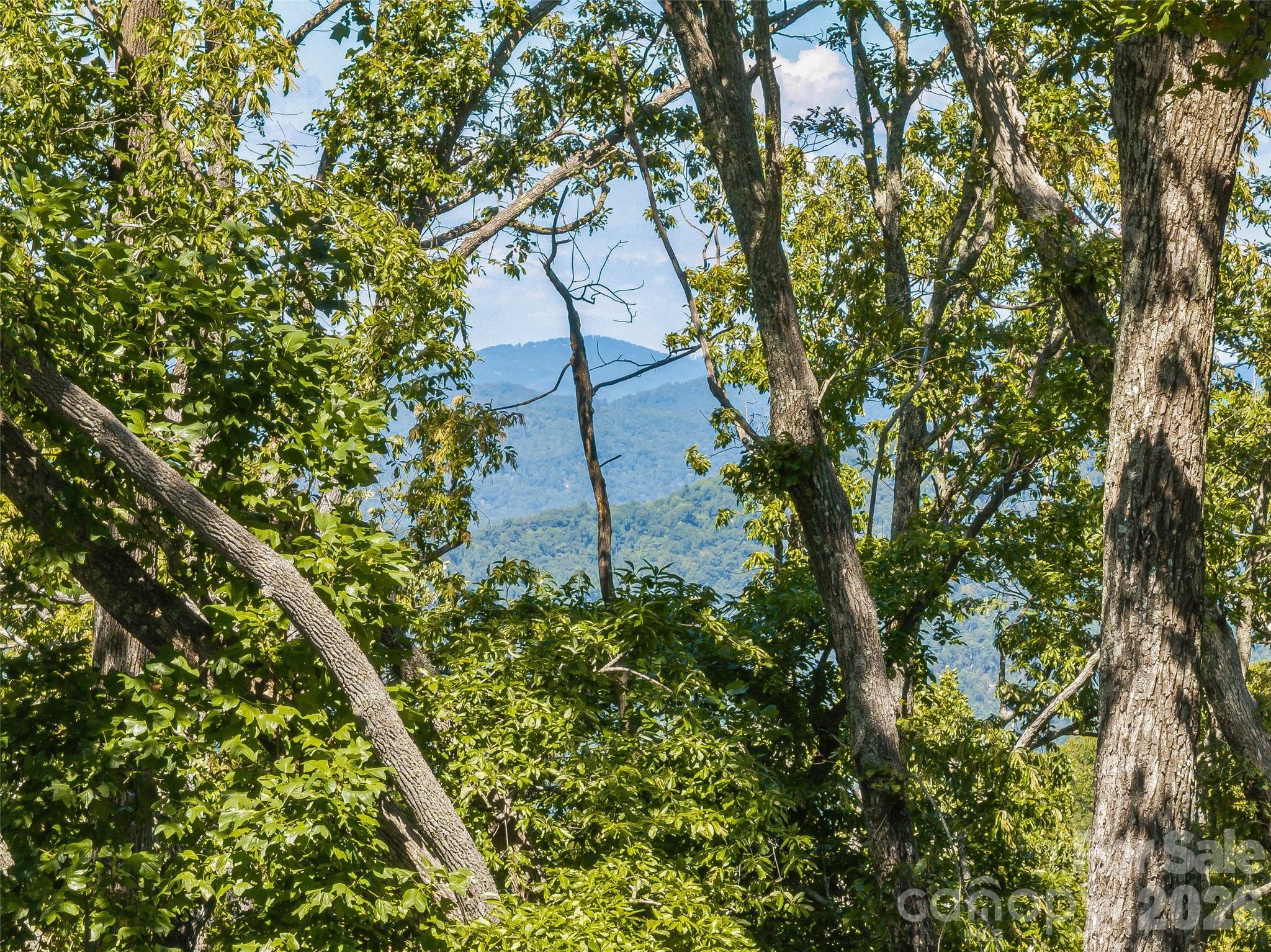Lot 42 Haven View Trail