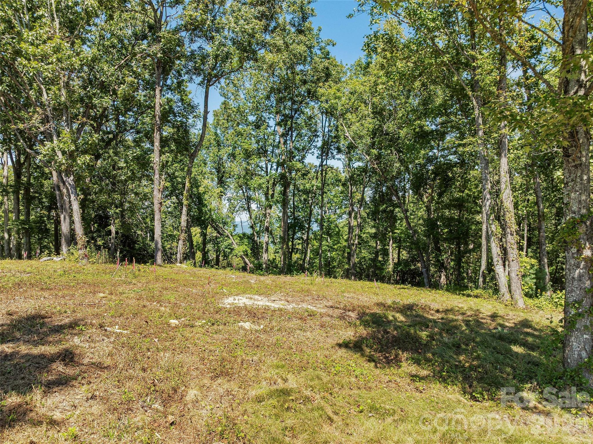 Lot 42 Haven View Trail