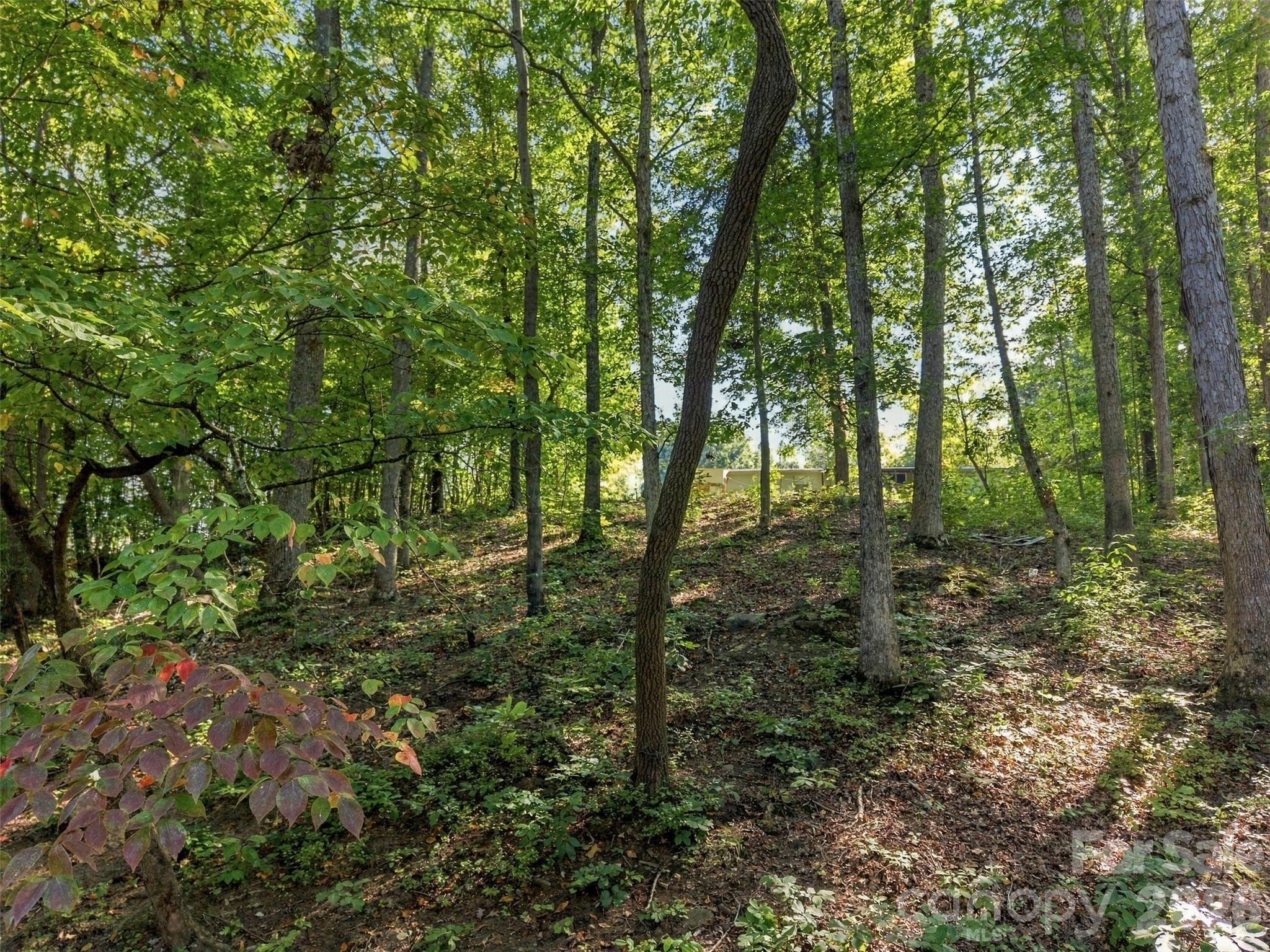 4220 Candlewood Drive