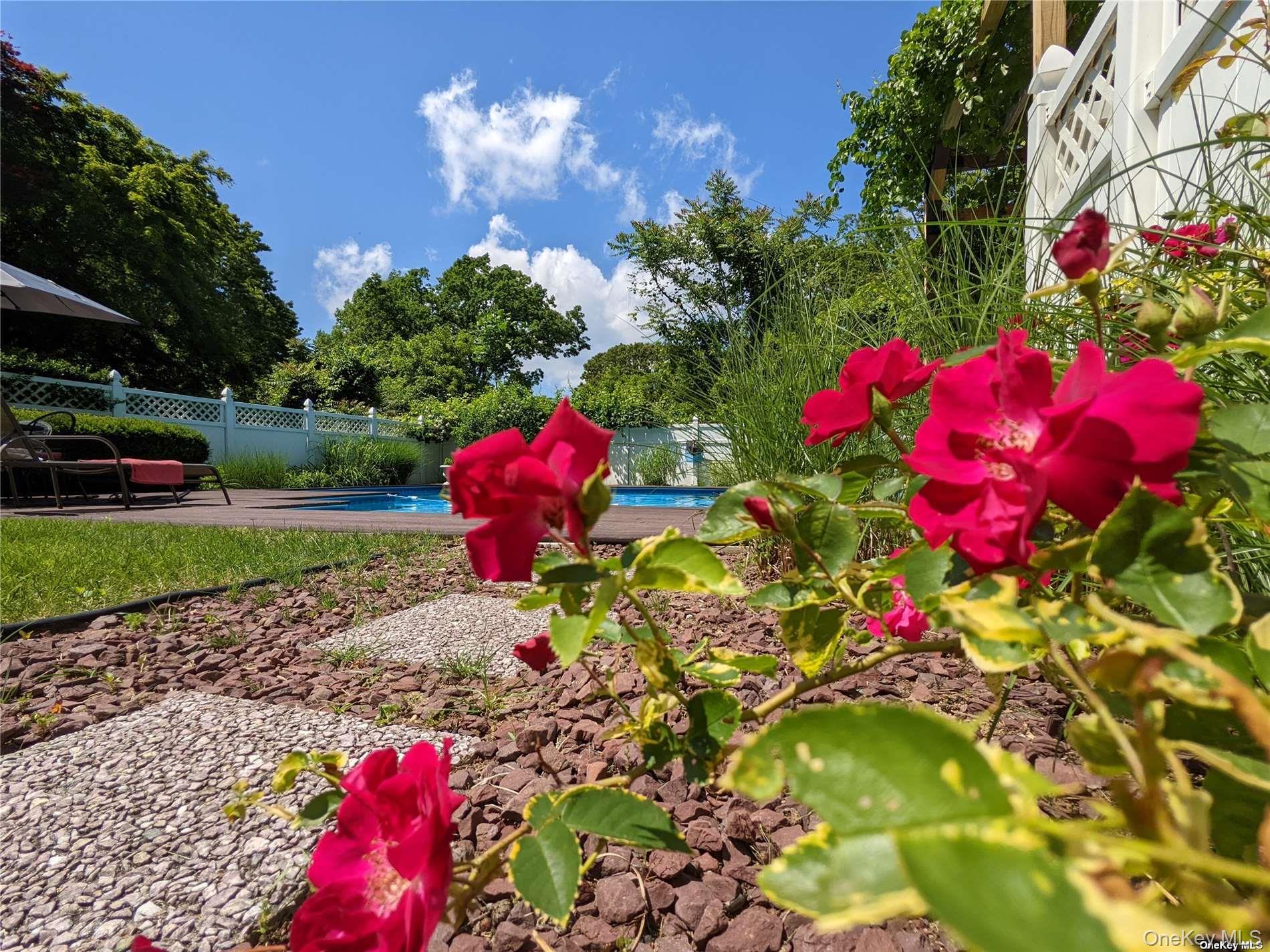 126 Overhill Road