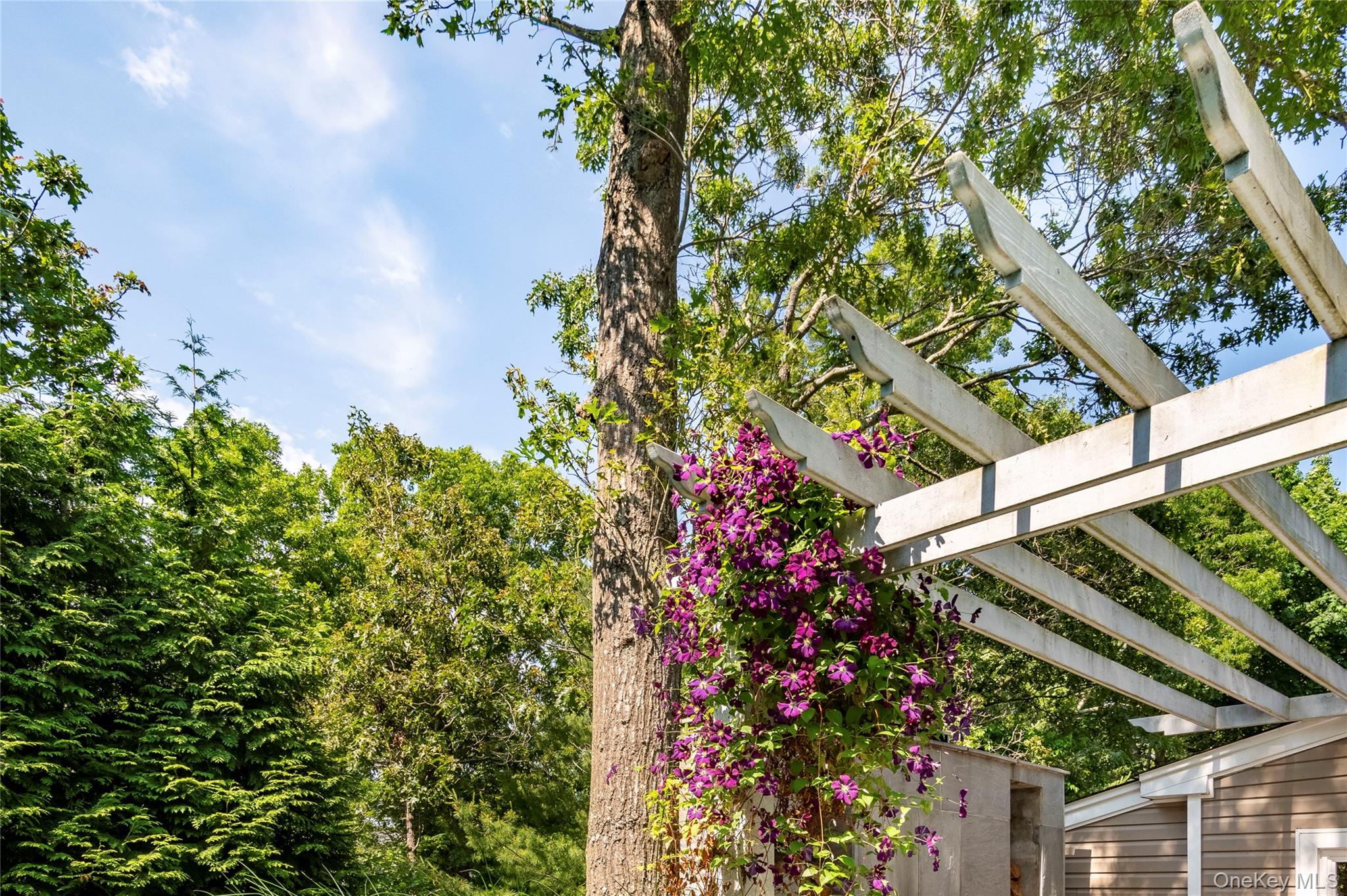 87 Washington Heights Avenue