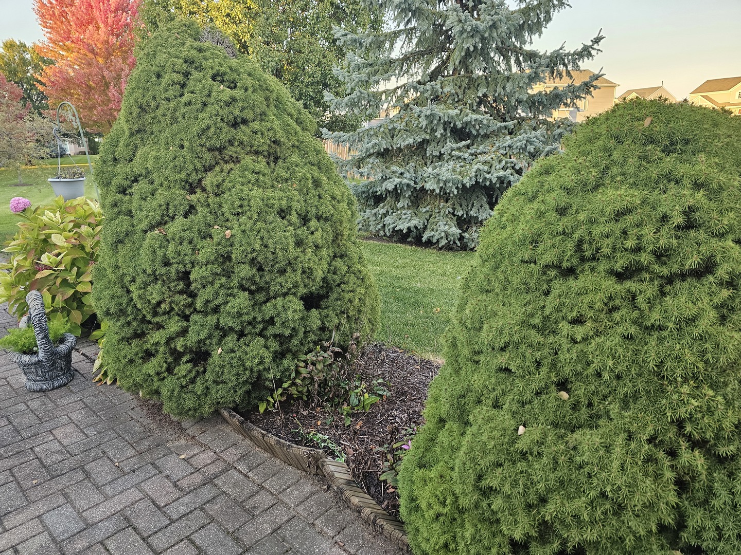 21102 Lily Lake Court