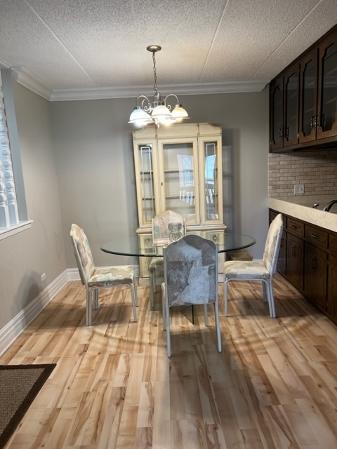 10532 Palos Place Unit: 2C