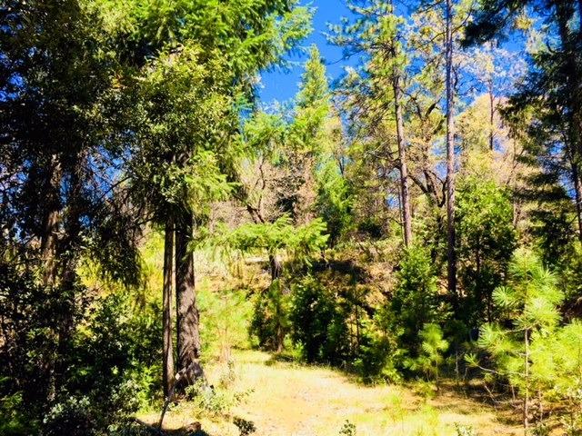 5340 String Canyon Road