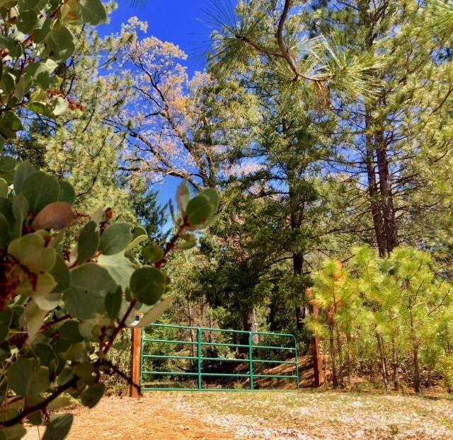 5340 String Canyon Road