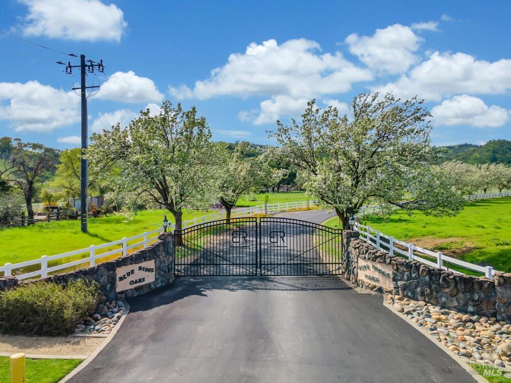 3467 Blue Mountain Drive