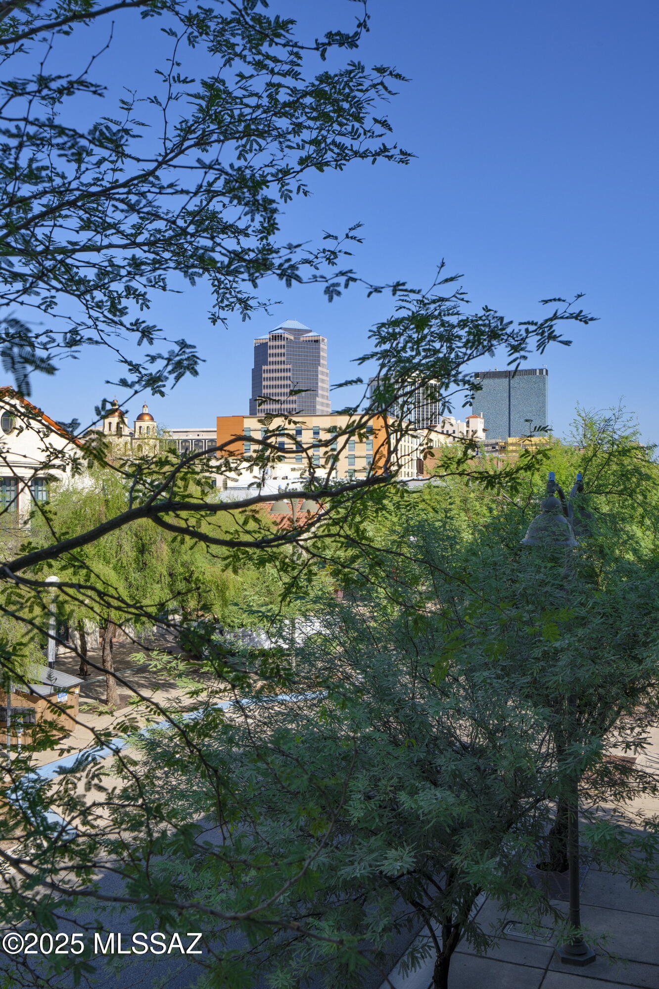 343 S Scott Avenue Unit: 3