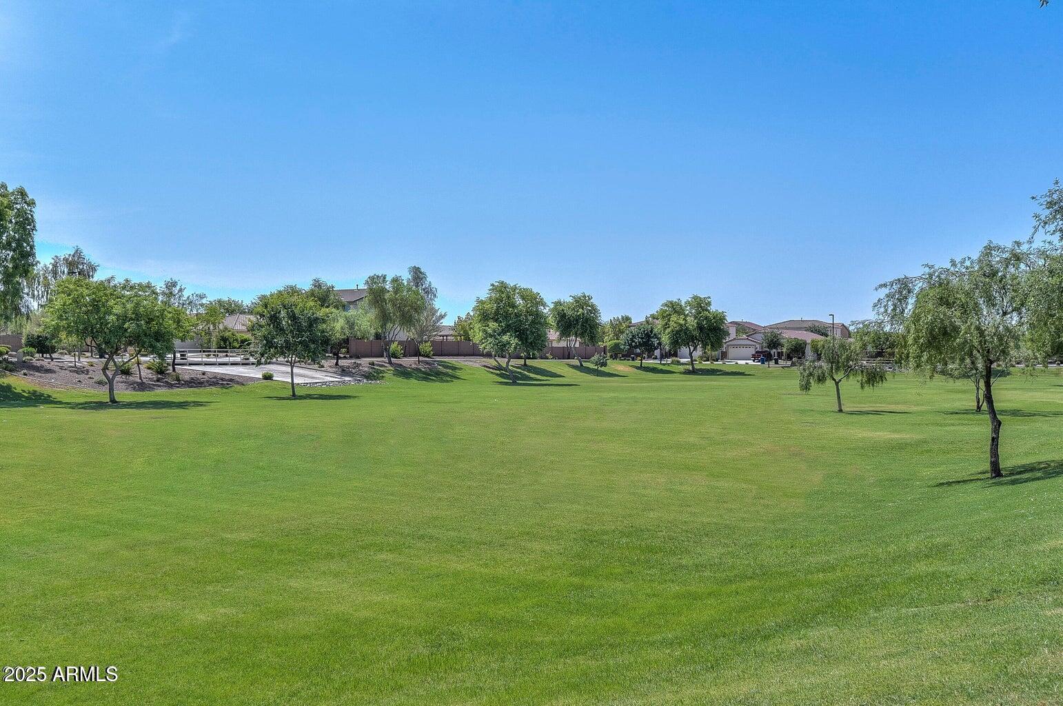 17175 W BLUE SKY Drive