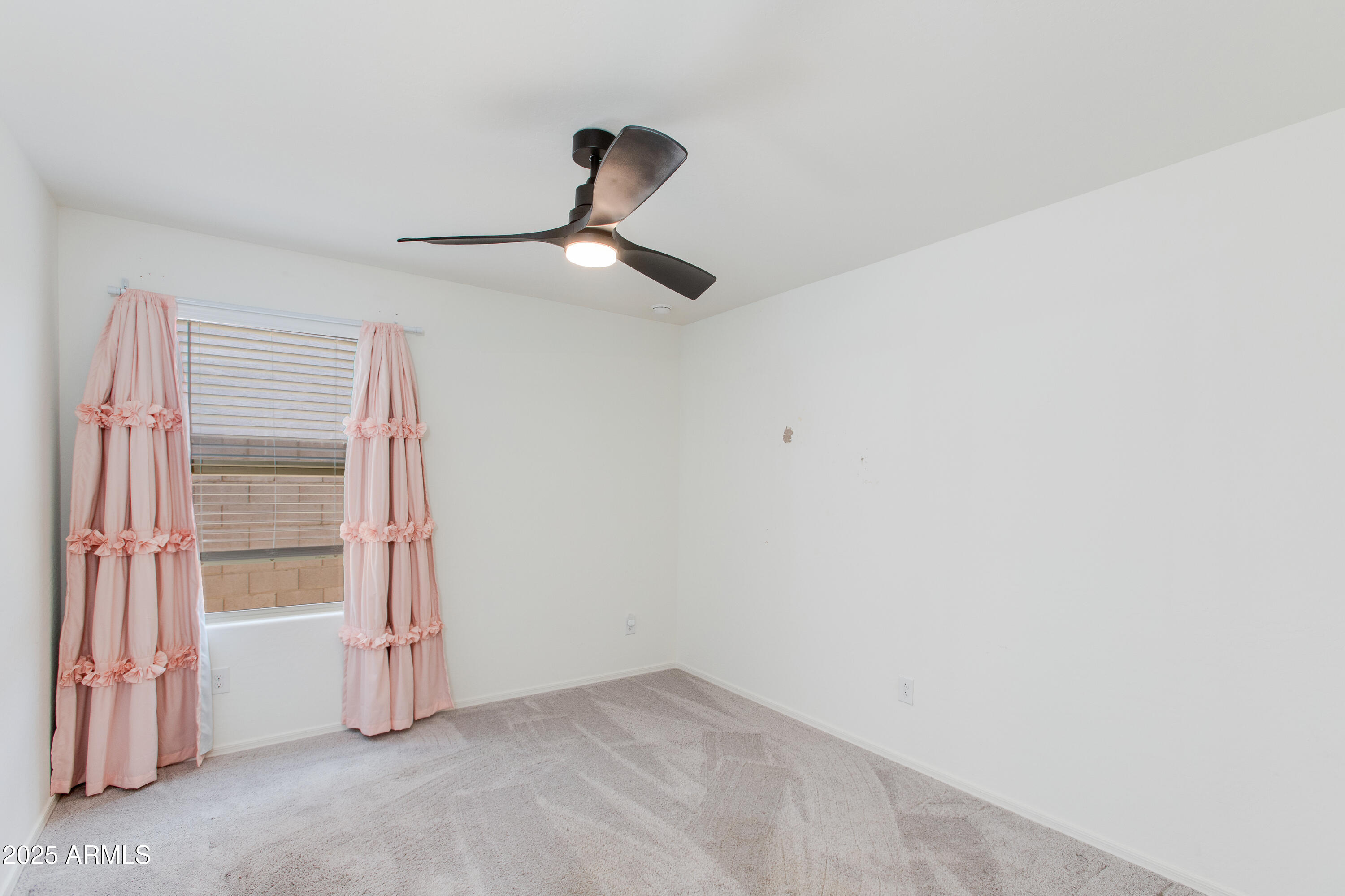 17175 W BLUE SKY Drive