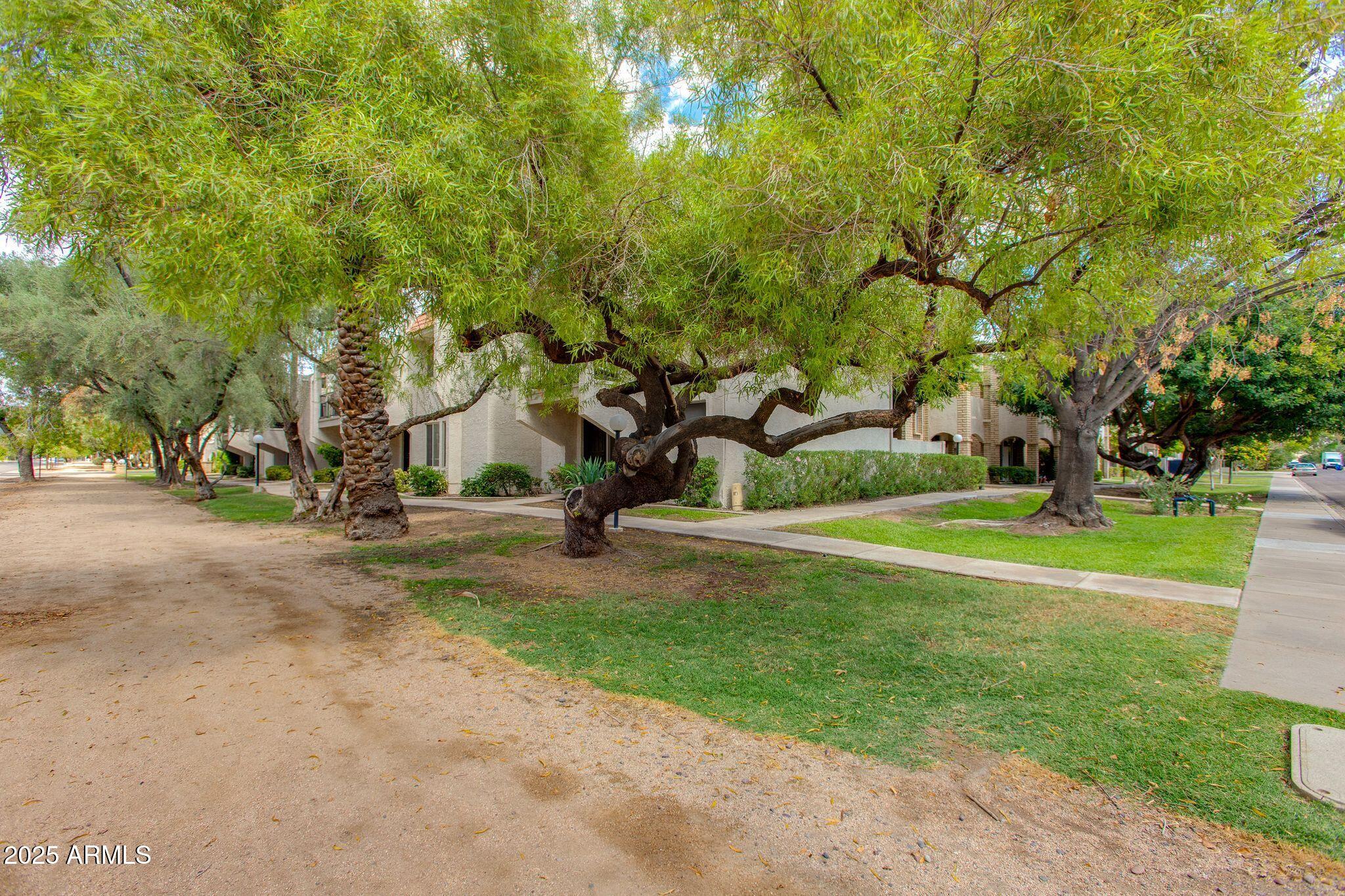 8225 N CENTRAL Avenue, 9