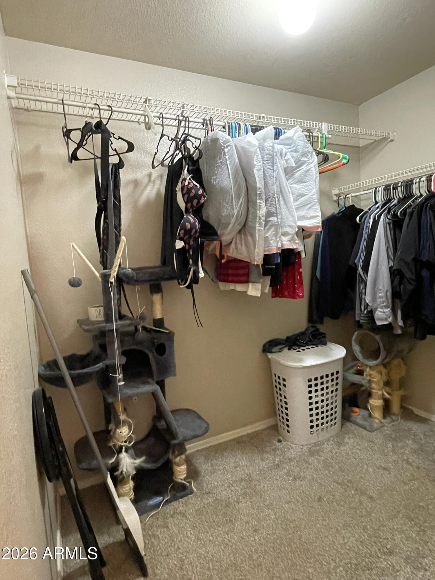 10922 E CAROL Avenue