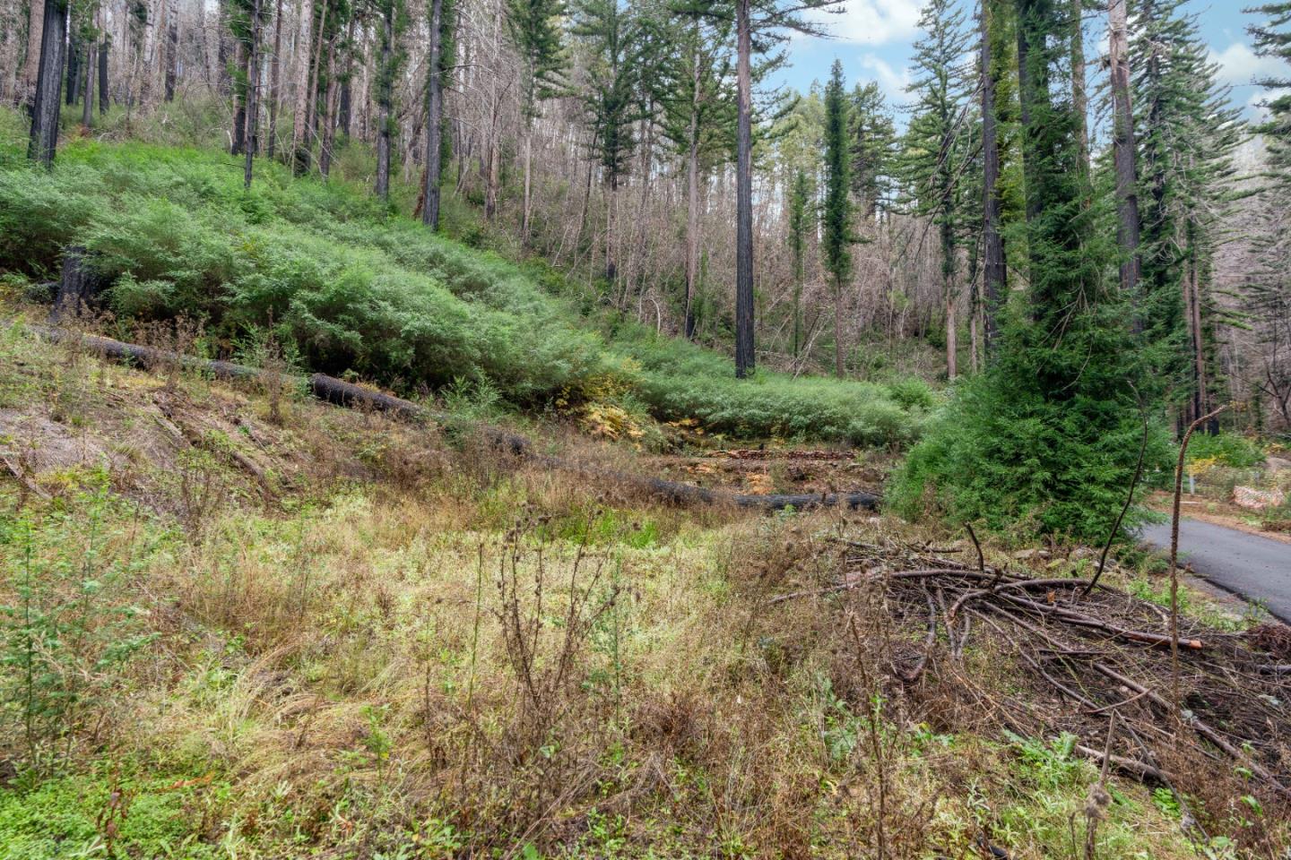 730 Boulder Brook DR