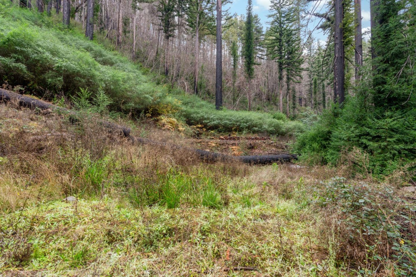 730 Boulder Brook DR