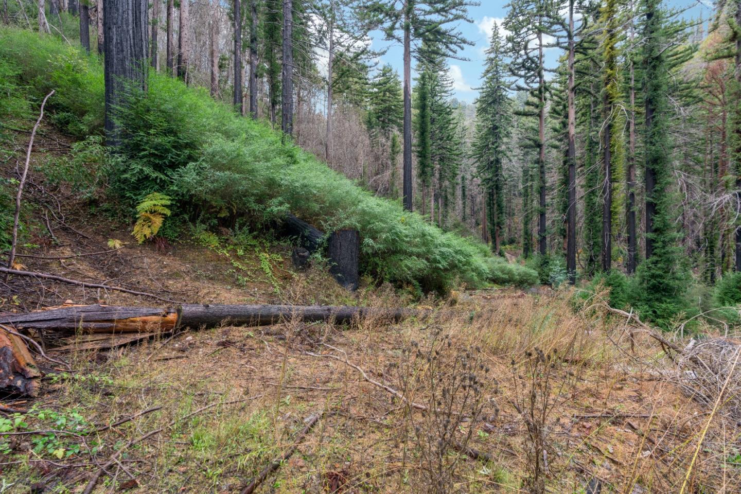 730 Boulder Brook DR