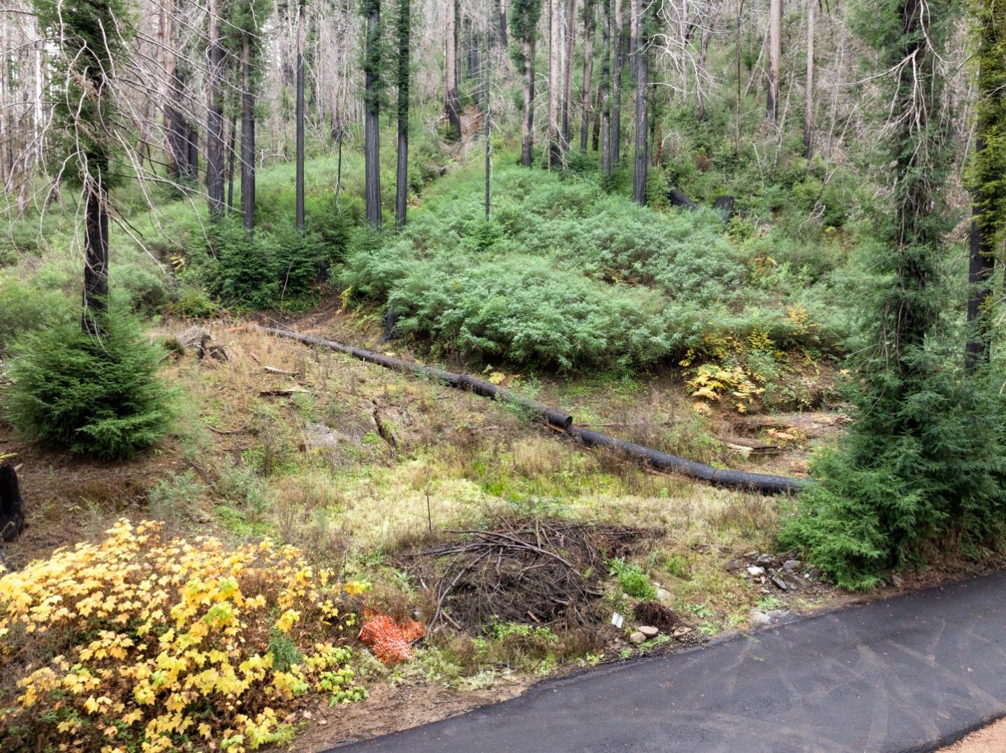 730 Boulder Brook DR