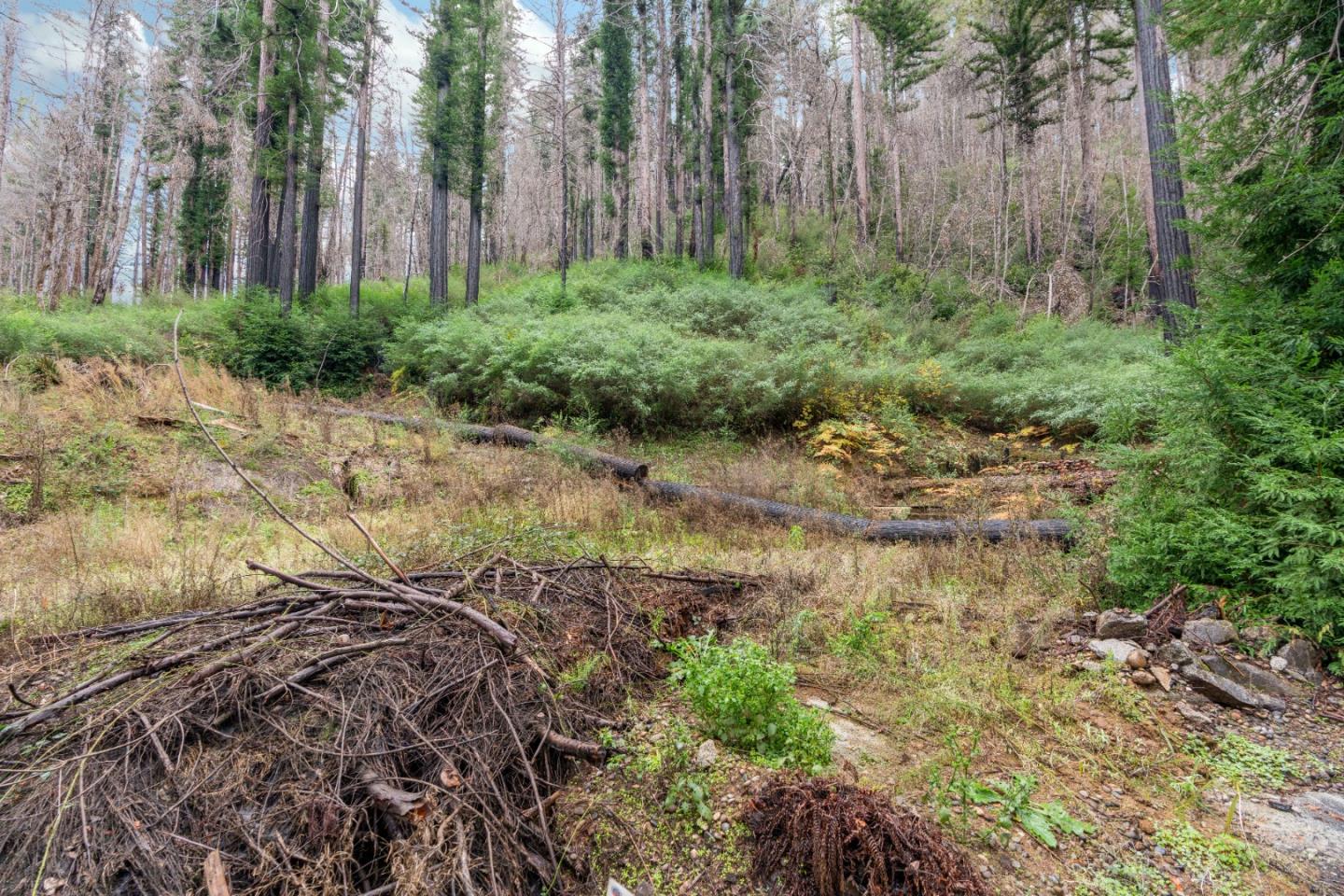 730 Boulder Brook DR