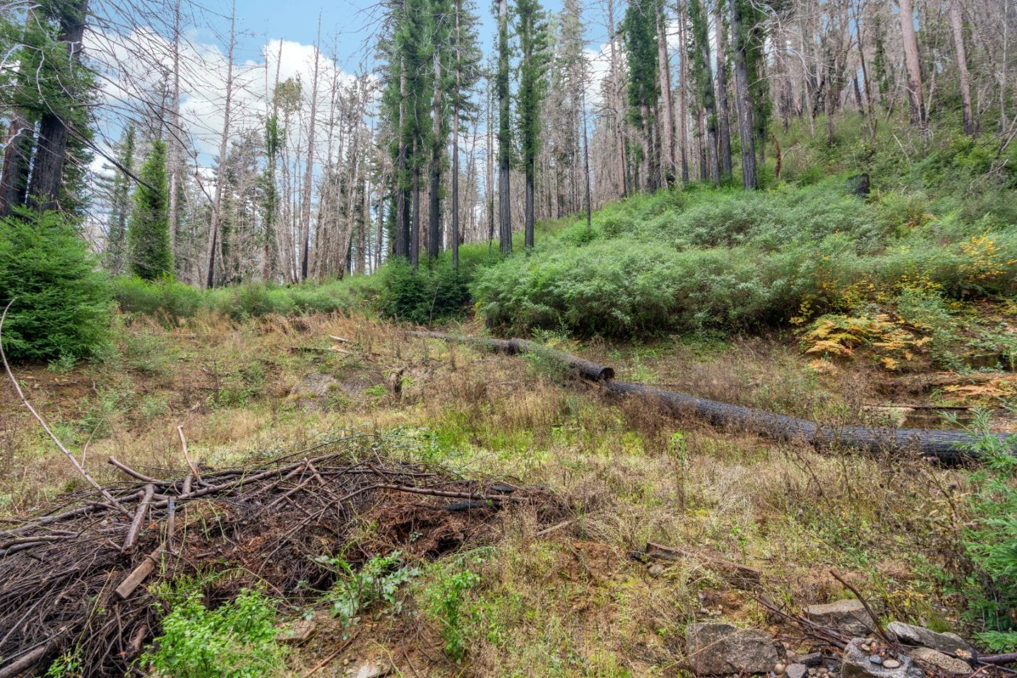 730 Boulder Brook DR