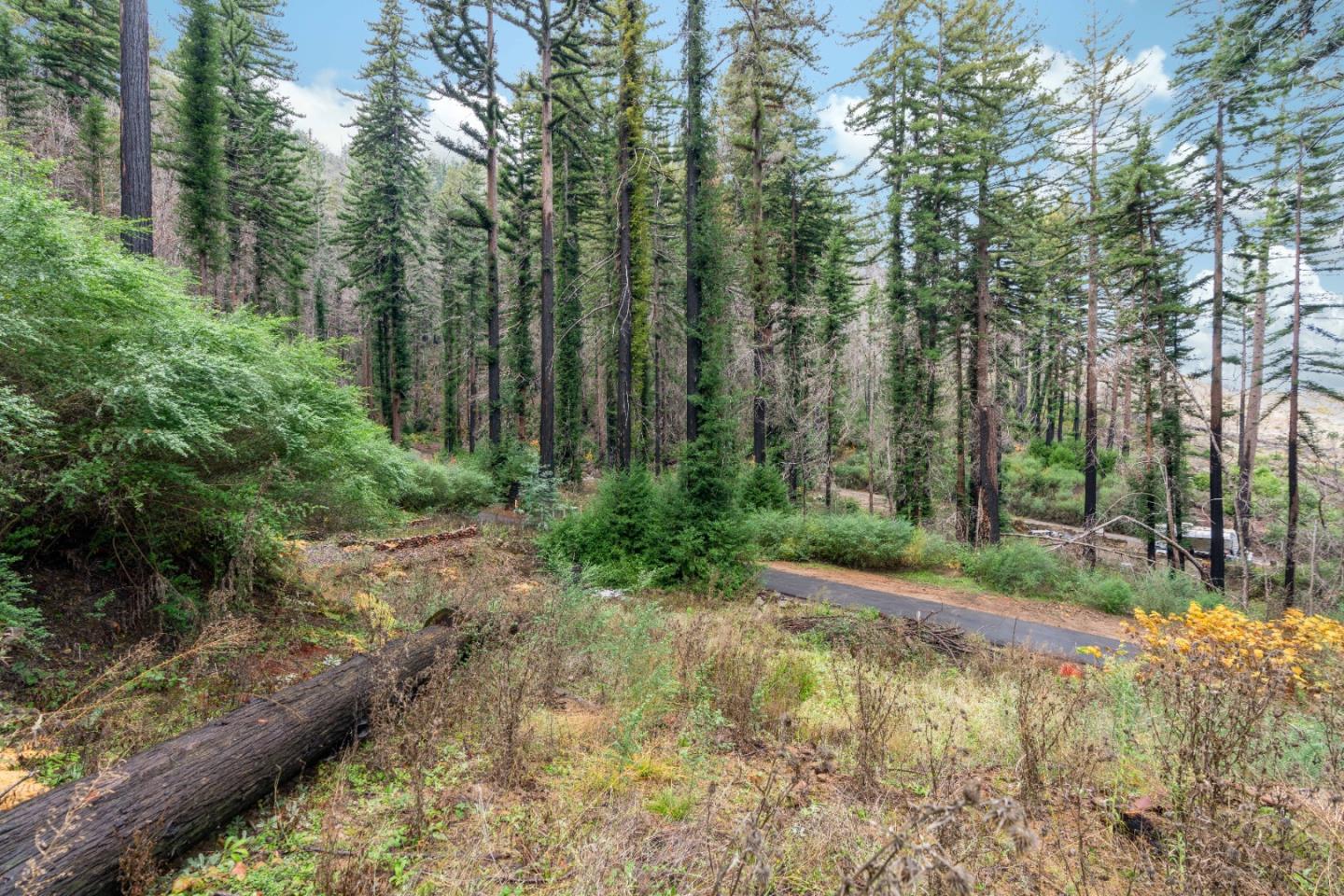 730 Boulder Brook DR