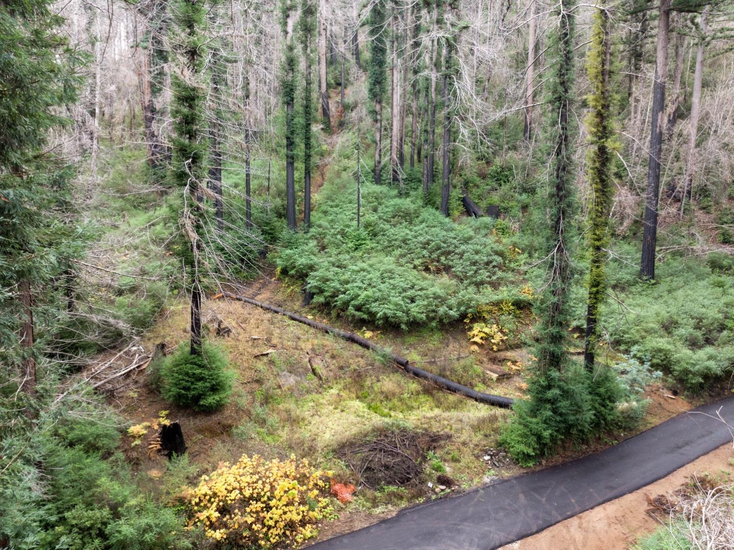 730 Boulder Brook DR